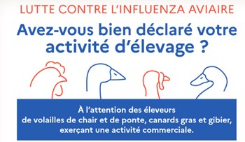 09.12.2024 INFLUENZA AVIAIRE – information risque élevé