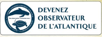 10.02.2025 Devenez observateur de l’Atlantique